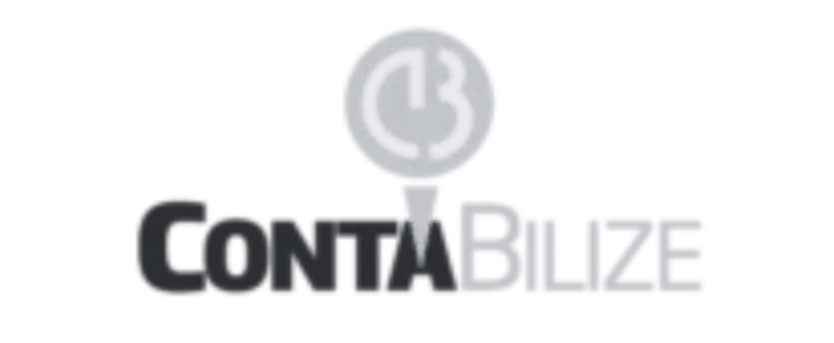 Logo - Contabilize - mono